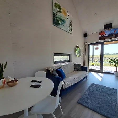 Jaanilille Tinytalo-sauna