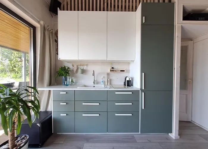 Jaanilille Tinytalo-sauna