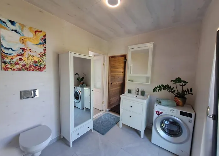 Jaanilille Tinytalo-sauna *